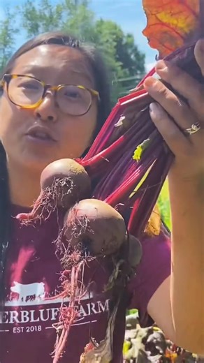 Whenever someone tells me they aren’t sure what to grow, I always tell them the same thing Grow what you’ll eat 😆#growyourownfood #homestead #gardentotable #garden #harvest | Jessica Thunderbluff Farm