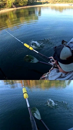 Rod Bender Kayak Catfishing