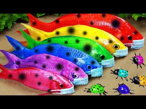 Best Of Small Fish Recipe | MINIATURE Fish Cooking Made EASY with Simple Recipe