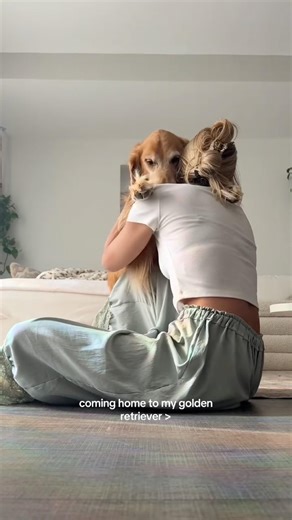 coming home to my golden retriever🥵 #goldenretreiver #dog #india #puppy #happypuppy #foreverpuppy
