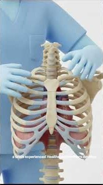 Mechanics of Artificial Perfusion: The 2025 ACLS Provider Updates