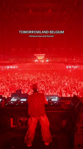 Mimosa LIVE AT Tomorrowland Belgium 2026 #alok #edm #tomorrowland #belgium #fyp