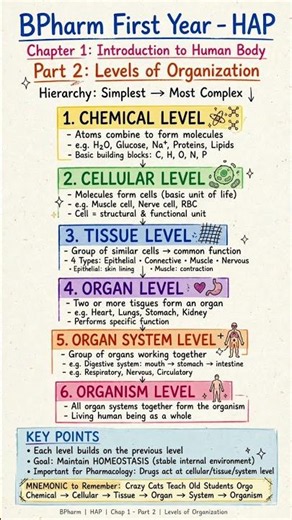 Introduction to the Human Body - HAP Chapter 1 - Levels, Homeostasis & Anatomy