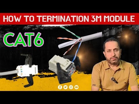 Cat6 Module Termination Explained | 3M RJ45 Module Full Process