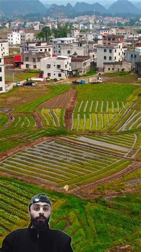 Smart Farming in Action || Drone Loading Potato Bags || #shorts