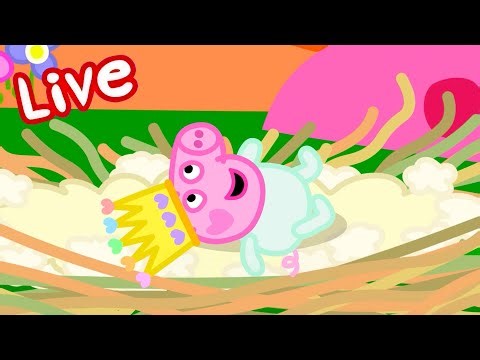 Peppa Pig NEW BABY EVIE Episodes LIVE 🍼 Evie Pig's BEST Moments 🥹 Watch EVIE Now! 💛 Kids Cartoons