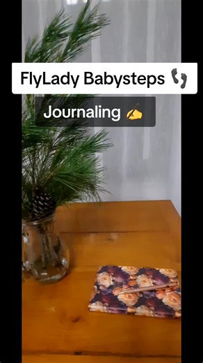 FlyLady Babysteps 👣 Journaling Schreibe dein eigenen Haushaltsplan 🗒🖊 Mit deinen Morgen- und Abendroutinen, deinen Wochenplan mit der Zonenreinigung und mit Selbstfürsorge. Selbstfürsorge - was dir gut tut.❤️ Z.b. Wellness oder ein gutes Buch lesen 🤗🥰🌟 #flylady #jounaling #haushalsplan #Zonenreinigung #fyp