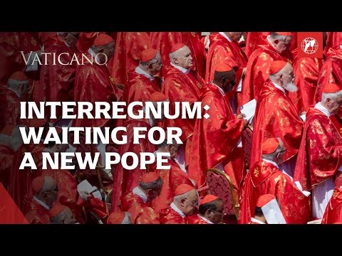 When a Pope Dies During a Holy Year: Inside the Jubilee of Hope and the Election of Pope Leo XIV