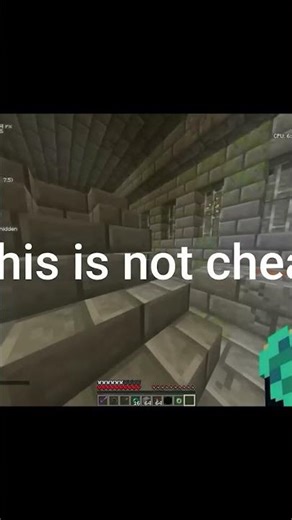 I found the funniest fake minecraft speedrun...