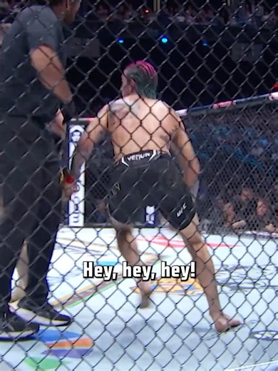 UFC 316: Merab Dvalishvili vs Sean O'Malley 2 Showdown