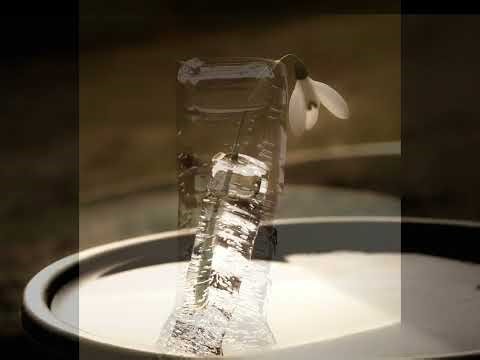 13 Years of Ice Spikes and Vases