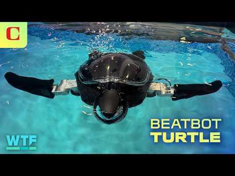 Meet Turtini, the Sea Turtle Robot for Ocean Conservation
