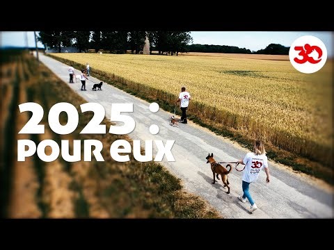 2025 EN IMAGES : une année avec 30 Millions d'Amis ! 🐶🐈
