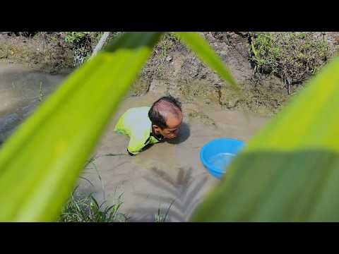Tiny Survivor’s Jungle Meal – Clam Catching in the Forest