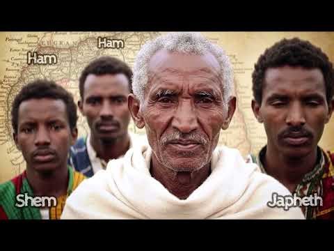 Genesis 9: The Rainbow Covenant 🌈 | Stunning Visuals