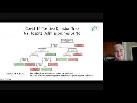 The extraordinary usefulness of the Single Decision Tree, Dr Dan Steinberg 2020 August