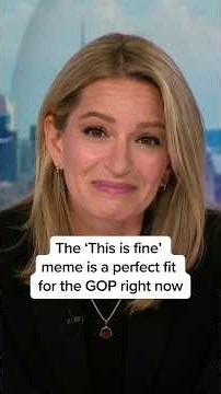 The 'This is fine' meme is a perfect fit for the GOP right now