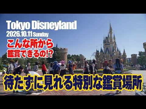 Tokyo Disneyland October 11, 2026 Vol. 2 | Today’s Tokyo Disneyland on October 11, 2026