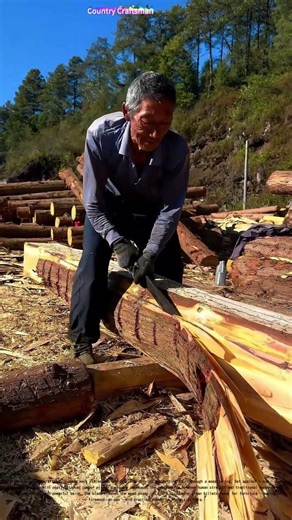 Precision in Splitting: How a Single Blade Transforms Timber into Usable Wood