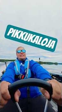 Pikkuhiljaa on käyty haistelemassa Suur-Saimaan ahvenkuulumisia #ahven #lowrancefishing #fishing