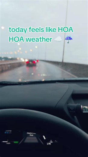 San Diego Rainy Weather: A Cloudy Day by the Bridge