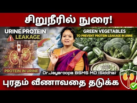 சிறுநீரில் நுரை! புரதம் வீணாவதை தடுக்க | Urine Protein Leakage | Dr Jayaroopa..#healthtipsintamil 
