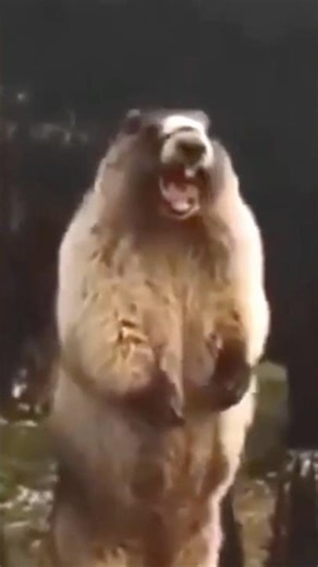 10-Hour Ice Water Challenge: Who Won The Balance Game? #shorts