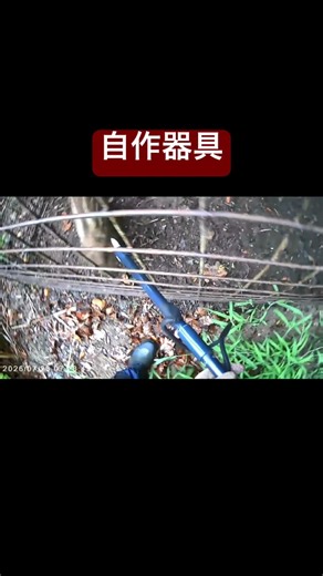 自作器具を使った現場研修記録 箱罠適正処理