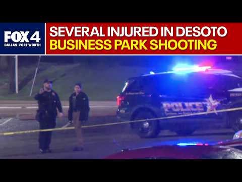 Several injured in fatal DeSoto business park shooting