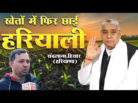 संदलाना,हिसार (हरियाणा) के खेतों में फिर छाई हरियाली: संत रामपाल जी महाराज ने मुमकिन की असंभव बिजाई।