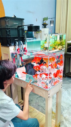 fish tank clean properly viral moments 😂 #funnyvideo #shorts