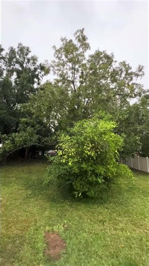 Hurricane Isaias hit our neighborhood the hardest pt.3 #hurricane #hurricaneisaias
