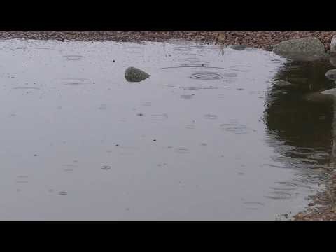LIVE: Tracking monsoon activity across Arizona