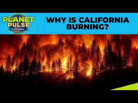 California's Wildfire Crisis Deepens as 54,000 Acres Go Up in Flames | Planet Pulse
