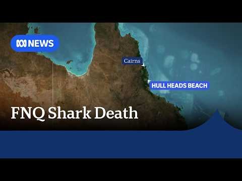 Man dies after shark attack while spear fishing in Queensland | ABC NEWS