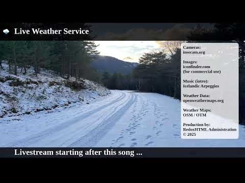 International live cameras and weather 🔴 LIVE Weather Service
