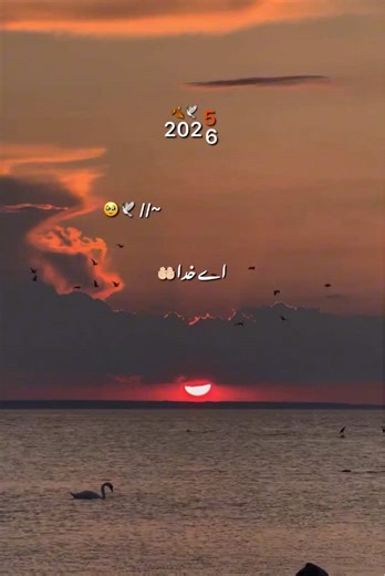 New Year 2026 Status Video