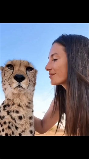 These Baby Cheetahs Are Too Cute to Handle! 🥹🐆❤️ #Shorts