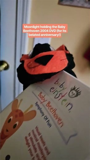 Moonlight Holding the Baby Beethoven DVD #babyeinstein