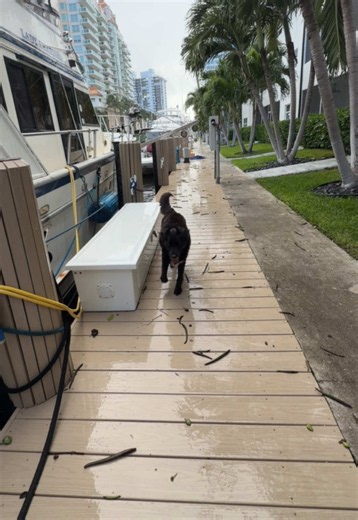 How Do You Get Water on a Boat? The Flooding Risk Explained