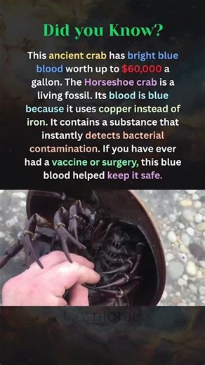 The Most Valuable Blood on Earth