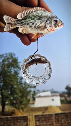 fish from resin after 30 days #experiment #venomx #part2