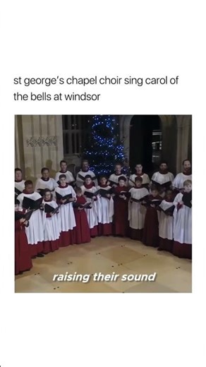 My favourite rendition of Carol of the Bells.Merry Christmas ♥️#carolofthebells#christmascarols