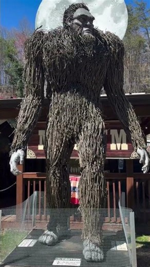 Happy National Travel & Tourism Week from Ellijay, GA 🍎✨