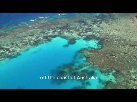 Mysteries of the Oceans.