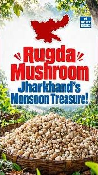 Rugda Mushroom: Jharkhand’s Wild Monsoon Delicacy & Its Unique Link with Sal Trees | NEXT IAS