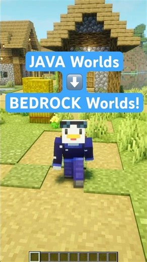 Convert Minecraft JAVA Worlds to Minecraft BEDROCK Worlds!!