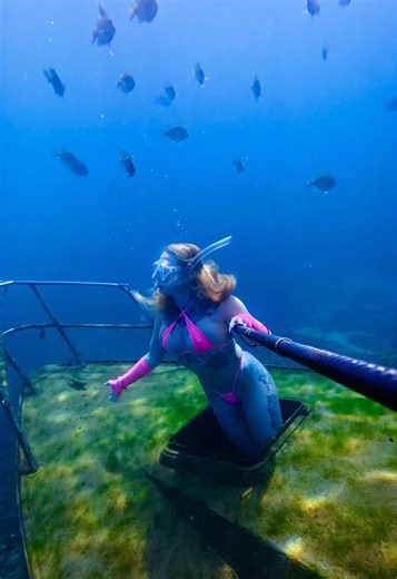 My happy place 💖 #sunkenboat #freediver #freediving #underwater | boat