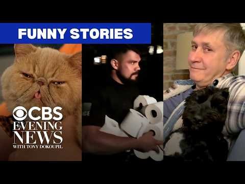Steve Hartman stories to make you laugh