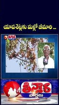 Neem Tree Drying Up In Nalgonda Due To Fungal Infection Known As Dieback Disease | V6 Teenmaar